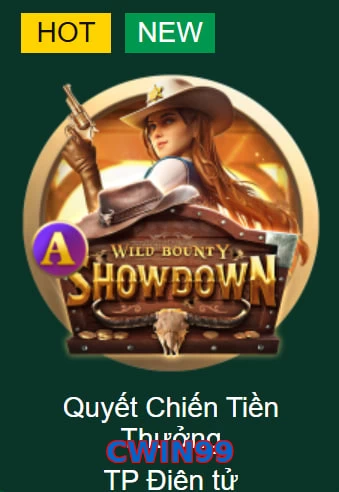 CWIN99